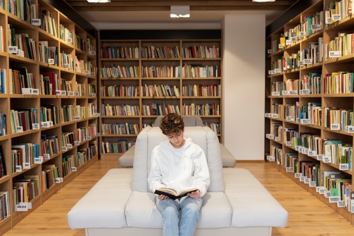 Webinaire : la loi « bibliothèques »