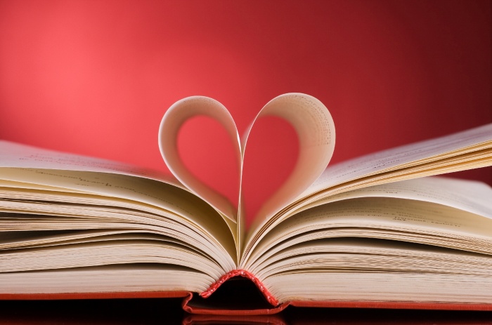Focus sur la romance et la dark romance