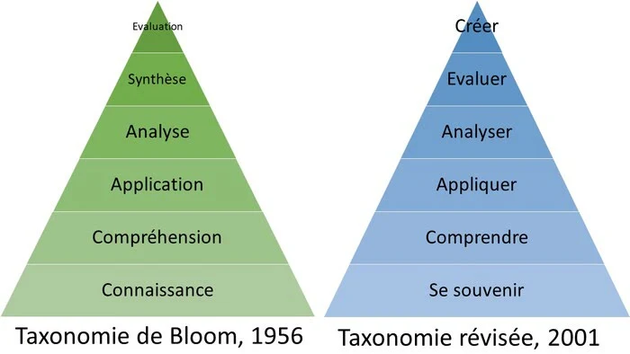 nell_taxonomie_bloom